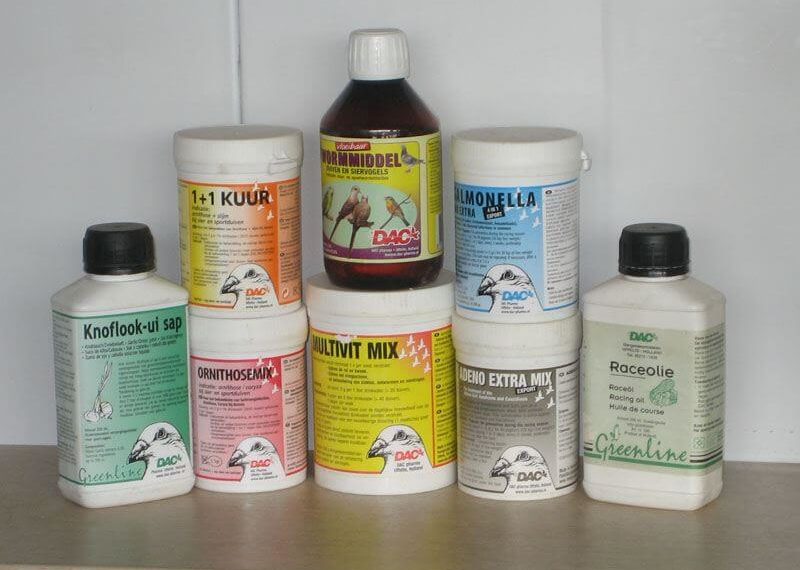 болезни голубей и их лечение-4