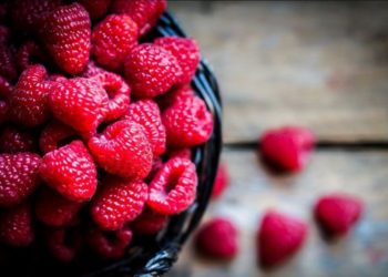 чем удобрять малину весной-4