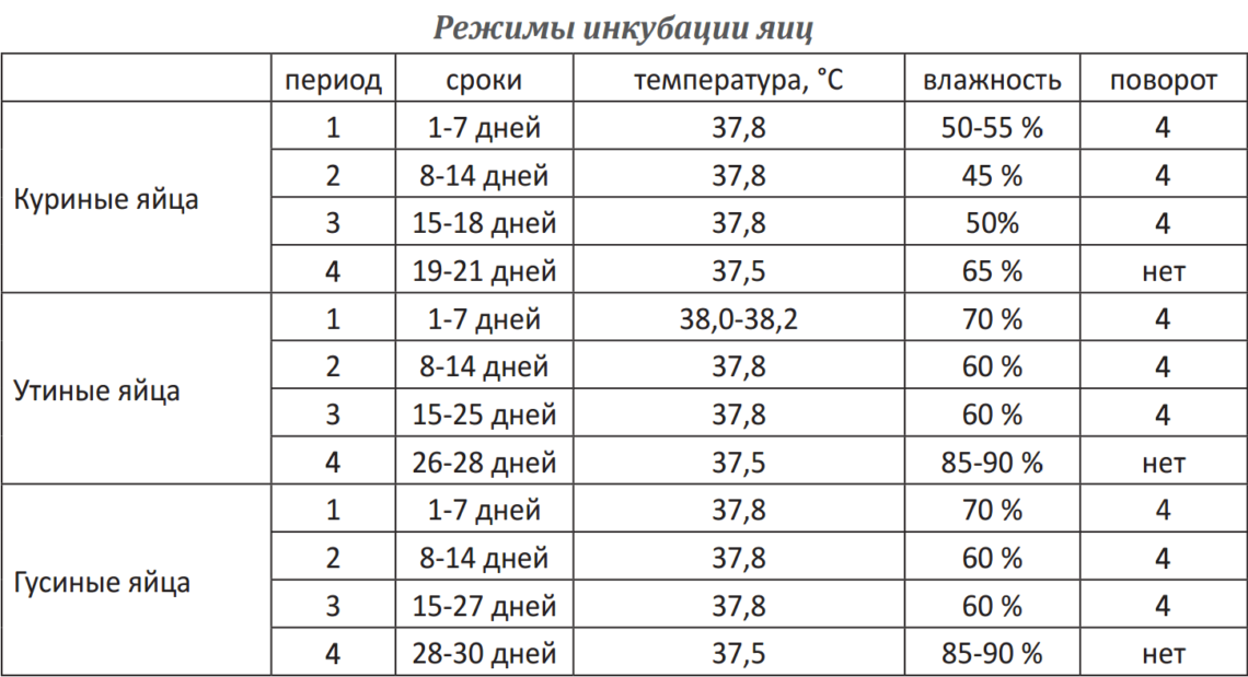 Температура вывода гусиных яиц в инкубаторе. Вывод гусиных яиц в инкубаторе. Таблица температуры инкубации куриных яиц. Таблица инкубации гусиных и утиных яиц.