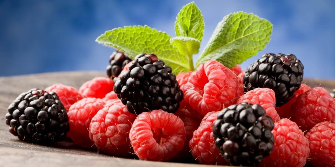 как правильно посадить малину осенью-3