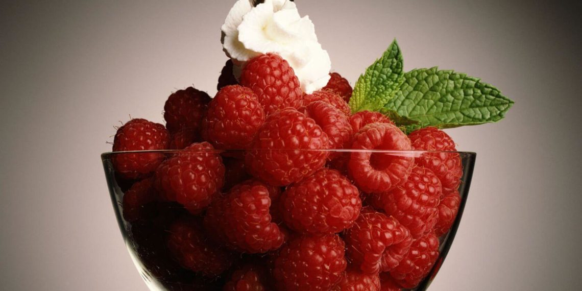 как правильно посадить малину осенью-4