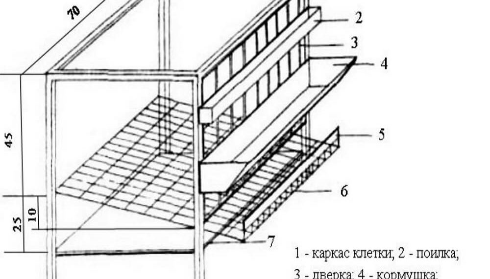 клетки для перепелов своими руками чертежи -2