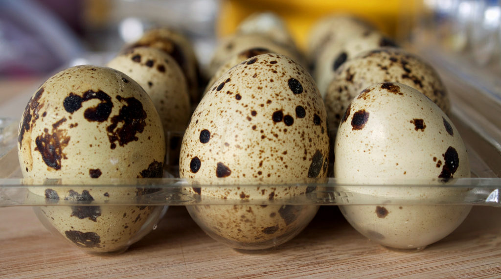 Чем полезны перепелиные яйца?