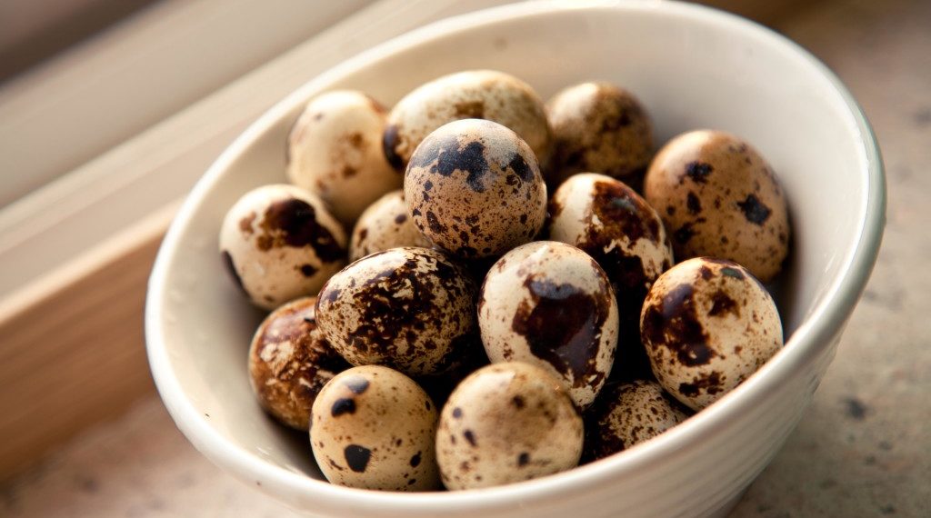 Чем полезны перепелиные яйца?