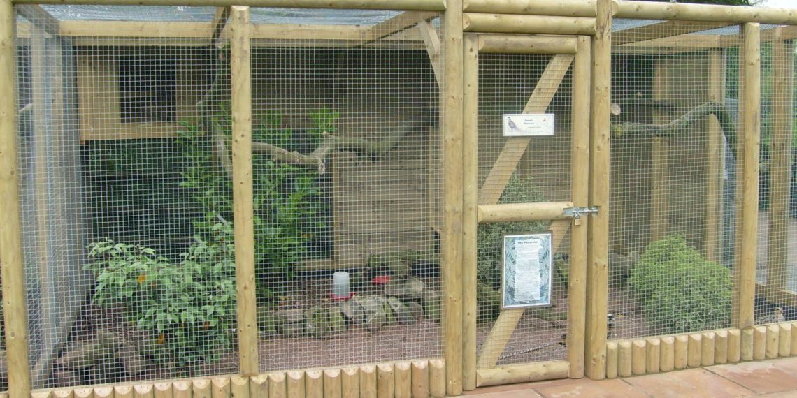 Вольер для фазанов