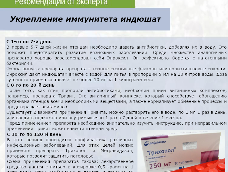 Трихопол для индюков