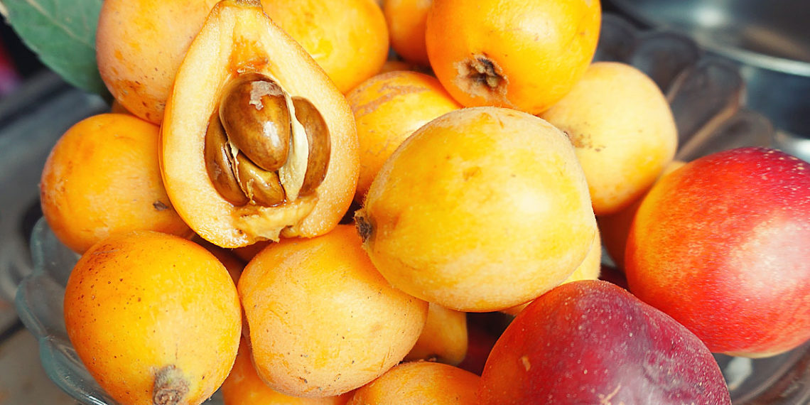 Испанский фрукт мушмула