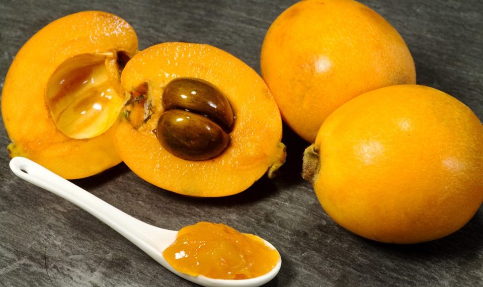 Листья мушмулы