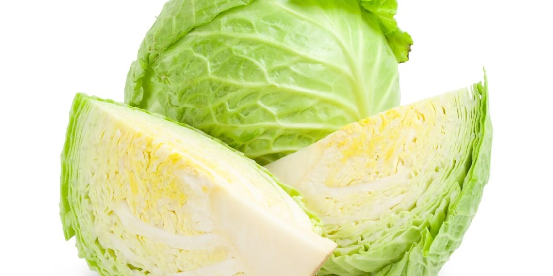 Белокочанная капуста