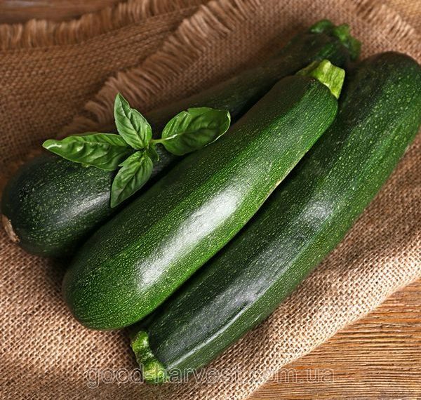 Кабачок цуккини