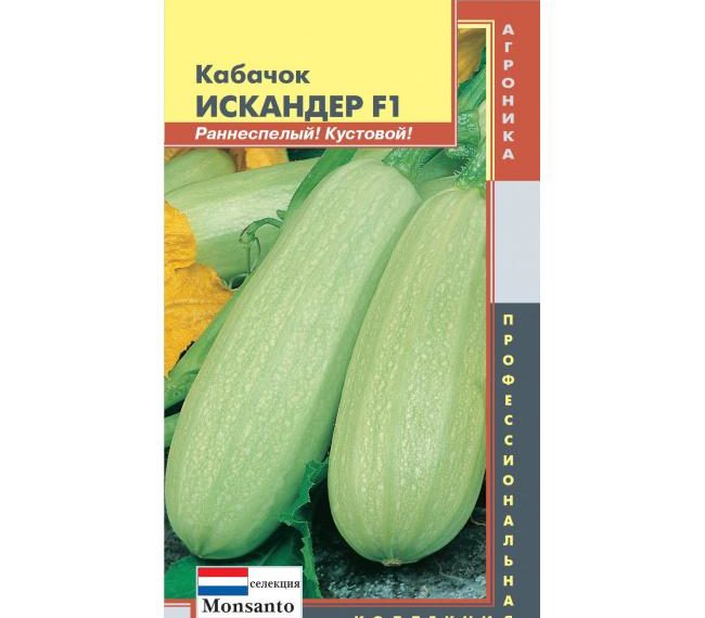 Кабачок Искандер