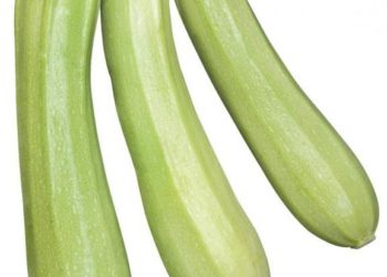 Кабачок Кавили