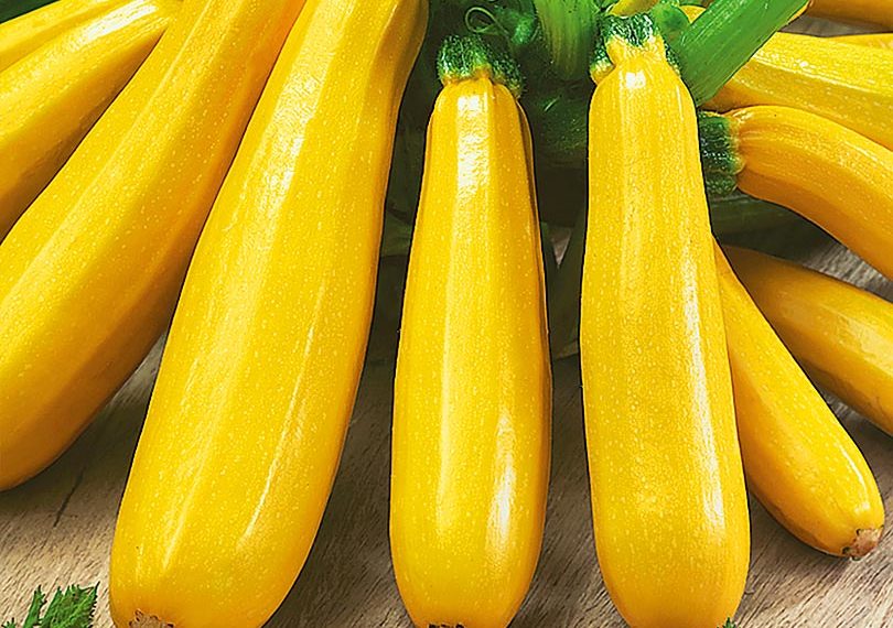 Кабачок Ясмин