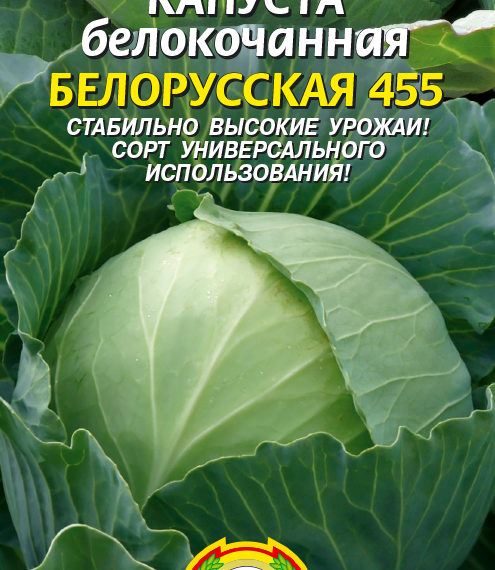 Капуста Белорусская 455