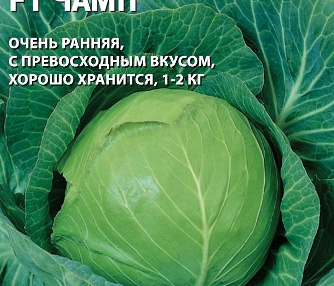 Капуста белокочанная Чамп