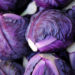 Фиолетовая капуста