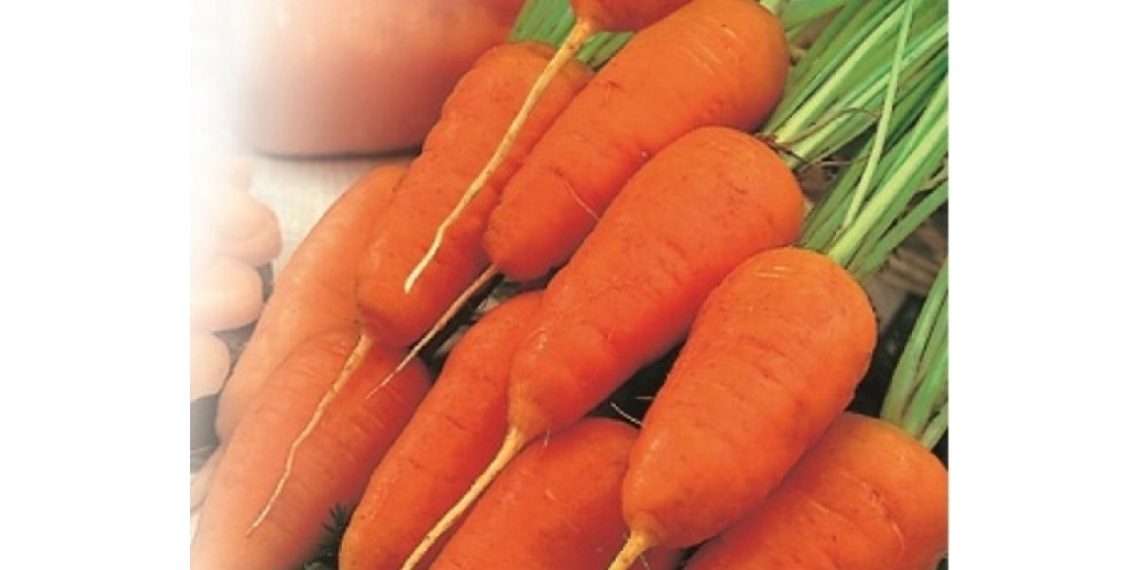 Как выращивать мелкую морковь?