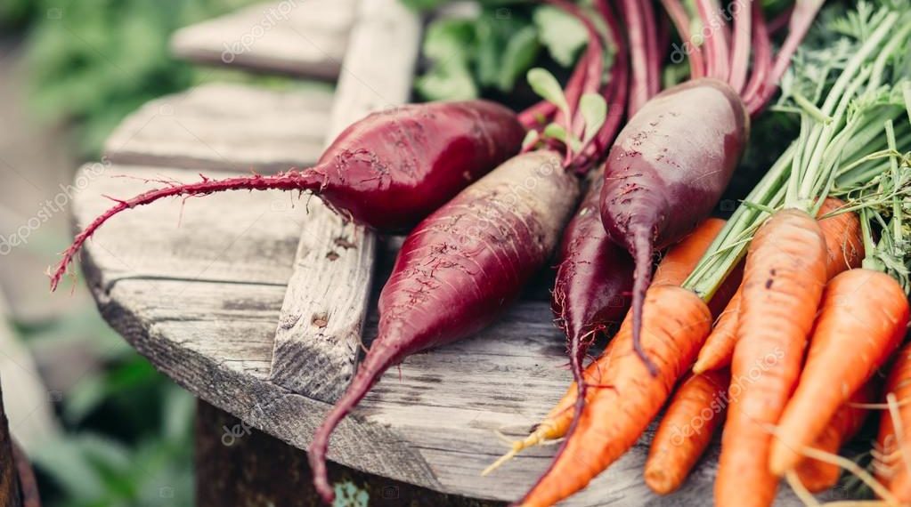 Когда убирать морковь и свеклу?