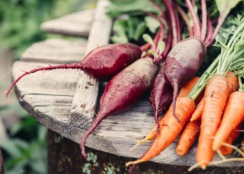 Когда убирать морковь и свеклу?