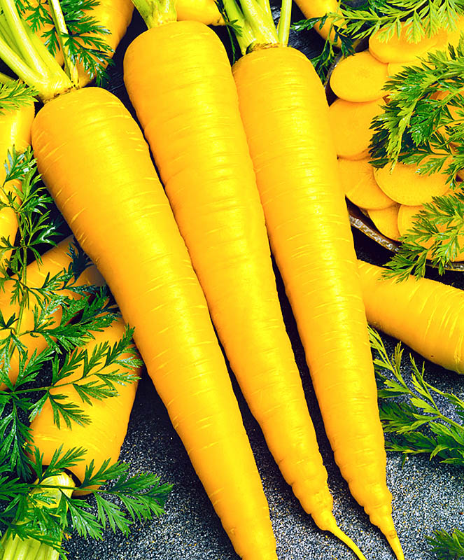 Желтая морковь