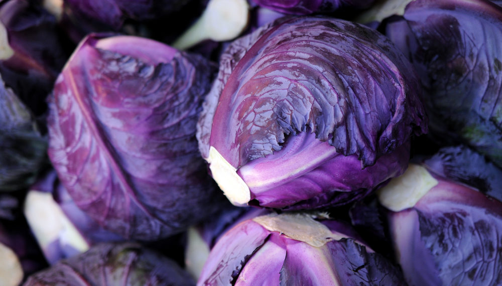Краснокочанная капуста
