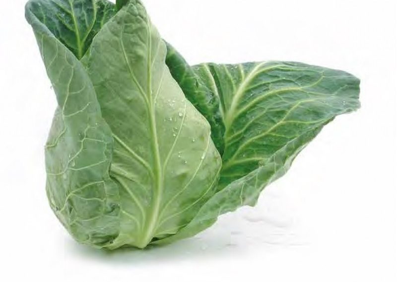 Капуста шпиц