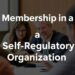 Вступление в СРО: Как стать частью профессионального сообщества