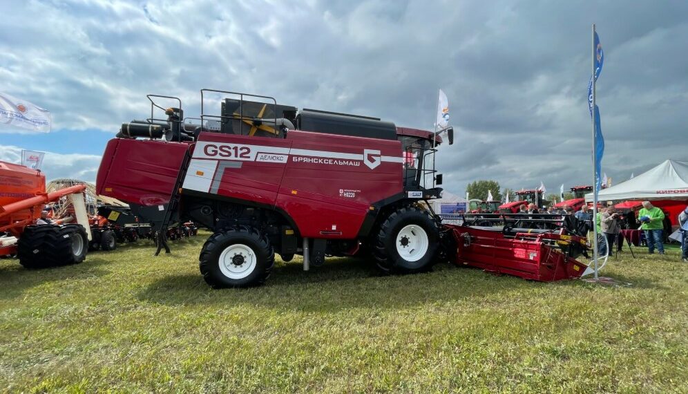 Кейтеринг на День поля: как сделать праздник вкусным и удобным