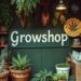 Гроушоп: что это такое и почему они становятся всё популярнее