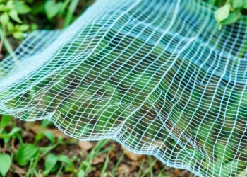 Сетка от кротов (кротовка): как спасти газон и огород, не нарушив экосистему