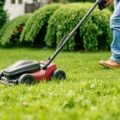 Что делать со скошенной травой: практичные способы без лишней суеты