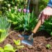 414. Какие инструменты помогают экономить силы на участке и не тратить день на одну грядку