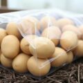 Как сохранить картофель до нового сезона: рабочие способы, которые действительно помогают